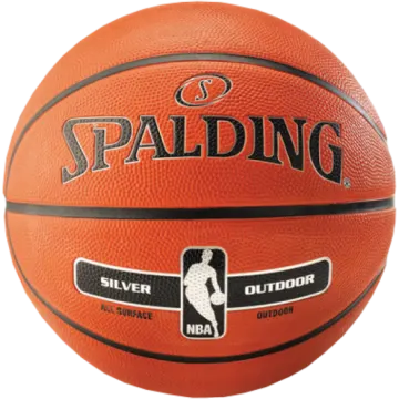 spak nba silver outdoor basketball
