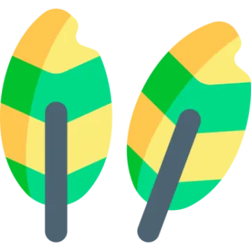 a pair of green and yellow leaves
