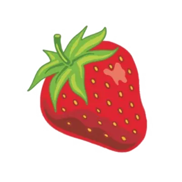 a strawberry on a white background