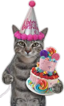 a cat wearing a birthday hat and holding a cake