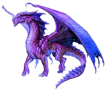 a drawing of a dragon on a white background