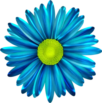 a blue flower on a white background