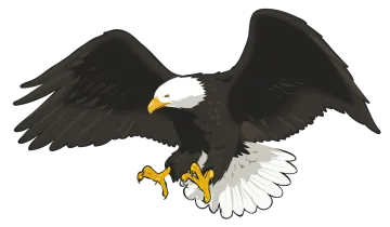 an eagle flying with its wings spread