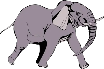 an elephant walking on a white background