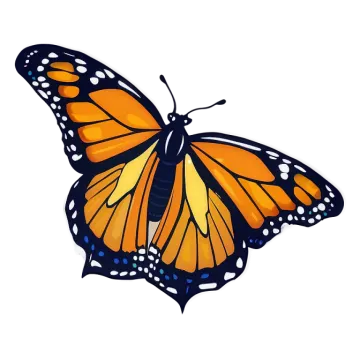 a monarch butterfly on a white background