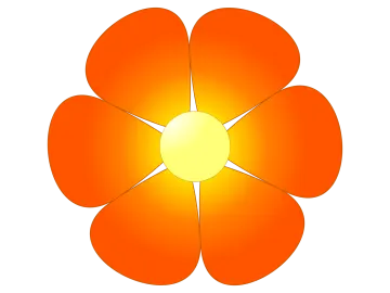 an orange flower on a white background