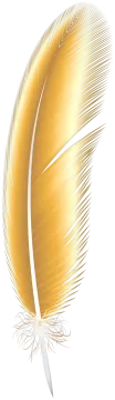 a golden feather on a white background