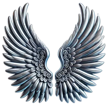 a pair of wings