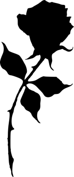 a black rose silhouetted on a white background