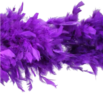 a purple feather on a white background