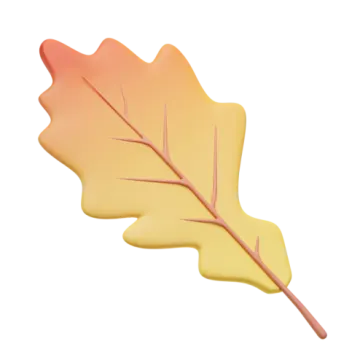 a yellow leaf on a white background