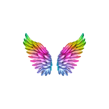 a rainbow colored wing on a white background