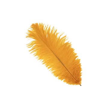 a yellow feather on a white background