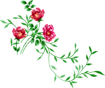 a branch with pink flowers and green leaves