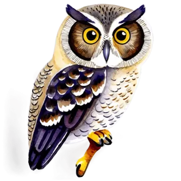 a watercolor painting of an owl sitting on a branch
