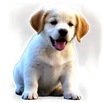 a puppy sitting on the ground with its tongue out