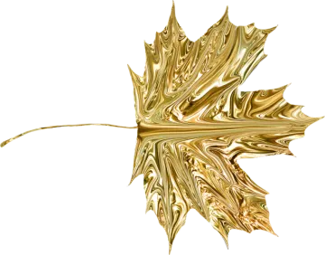 a gold leaf on a white background