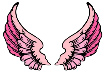 a pair of pink angel wings