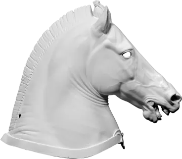 a white horse head with a black nose