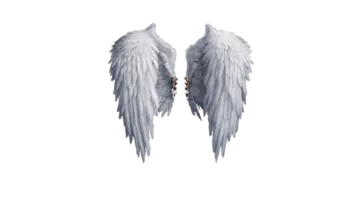 a pair of white wings on a white background