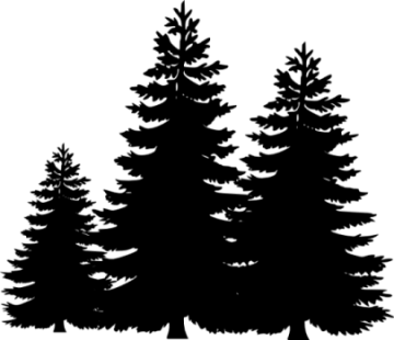 a black and white silhouette of three trees