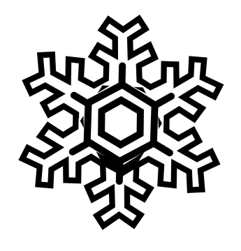 a black and white image of a snowfl