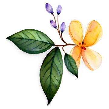 a watercolor painting of flowers on a white background