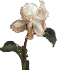 a painting of a flower on a white background