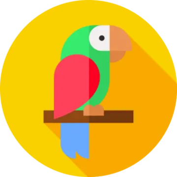 a colorful parrot sitting on a branch