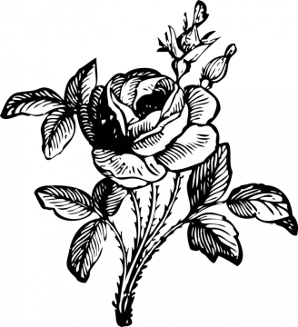 a black and white drawing of a flower