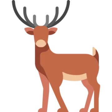a deer with ants on it's head