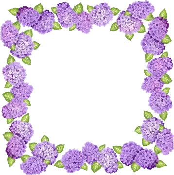 a frame made of purple lila flowers