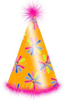 a party hat with colorful flowers and feathers
