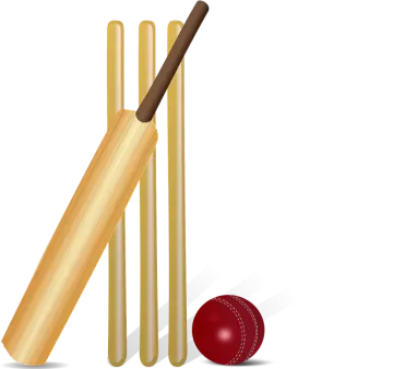 a cricket bat and ball