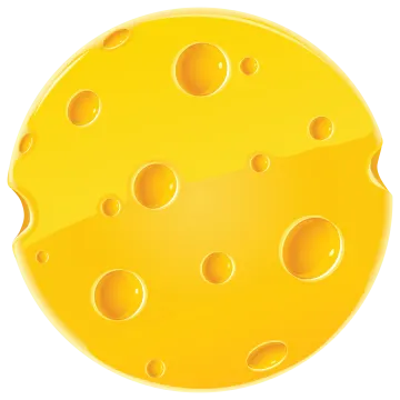 a piece of cheese on white background