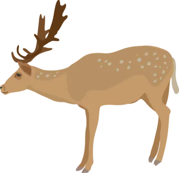 a deer with ants on it's back