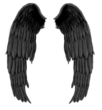 two black wings on a white background