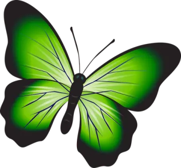 a green butterfly