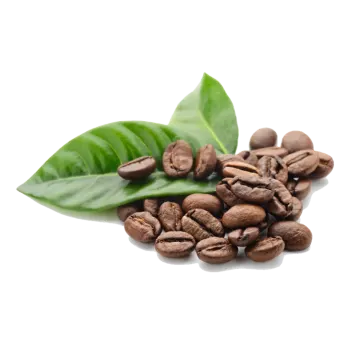 coffee beans with green leaf on white background