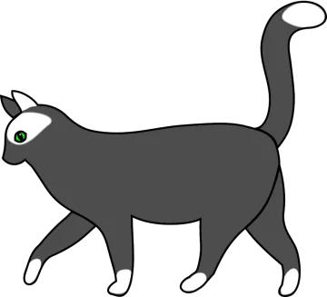 a black cat with green eyes