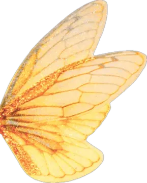 an image of a yellow butterfly