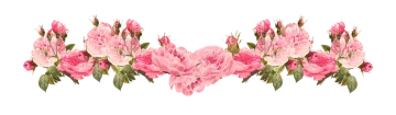 a bunch of pink flowers on a white background