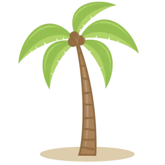 a palm tree on a white background