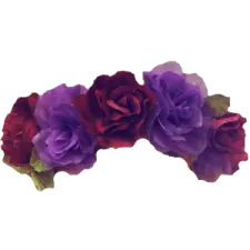 a purple and red flower on a white background