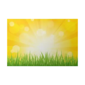 a green grass field with the sun shining in the background