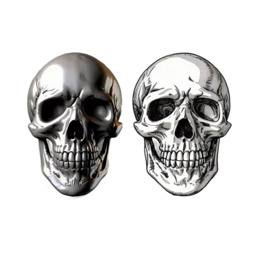 two skulls on a white background