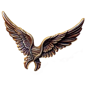 an eagle is shown on a white background