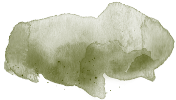 a green watercolor map of australia