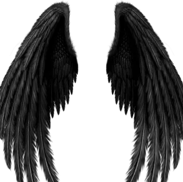 two black wings on a white background
