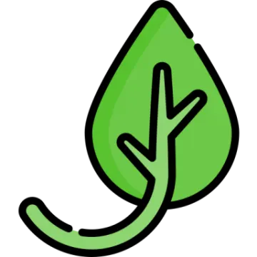 a green leaf icon